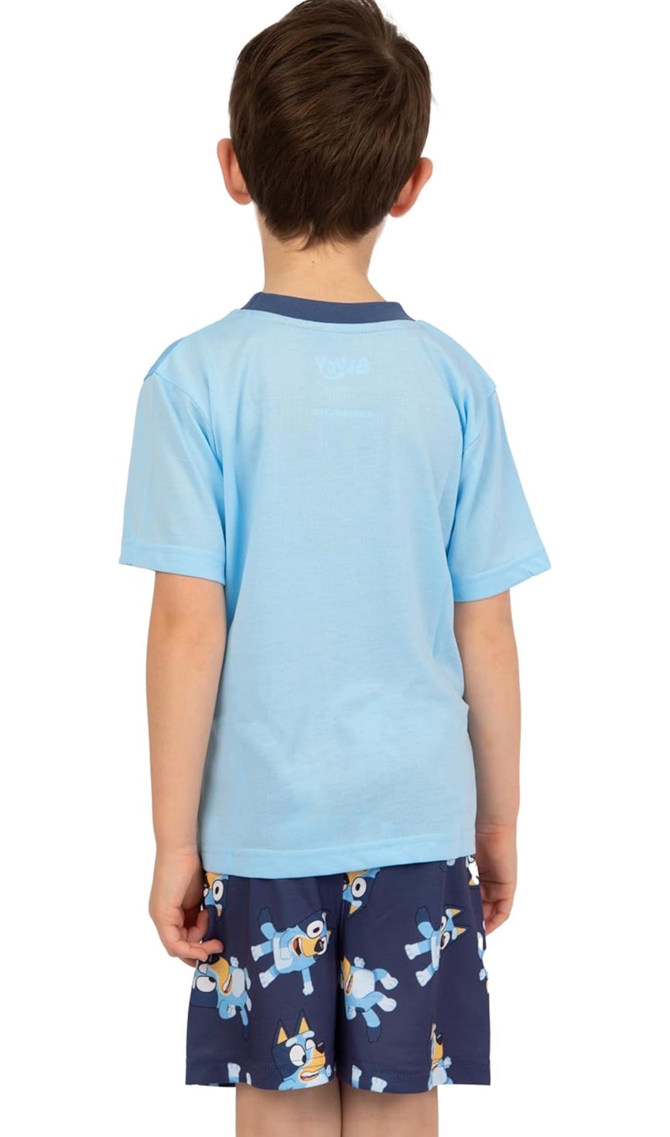 BLUEY Pack